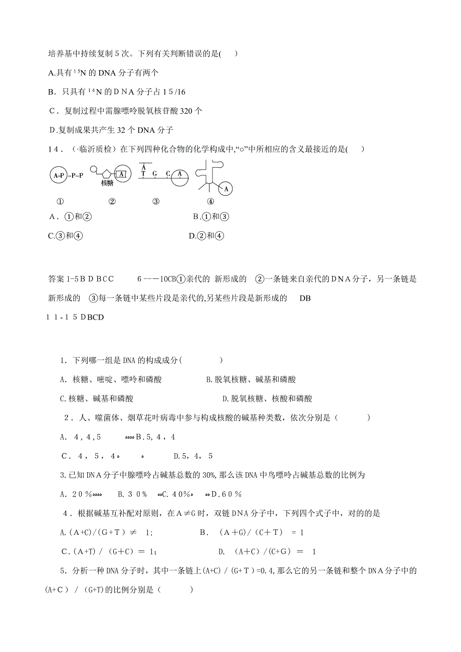 DNA结构和复制练习题_第4页