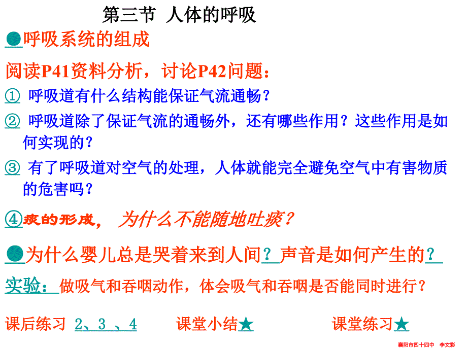 呼吸道对空气的处理-(用)课件_第2页