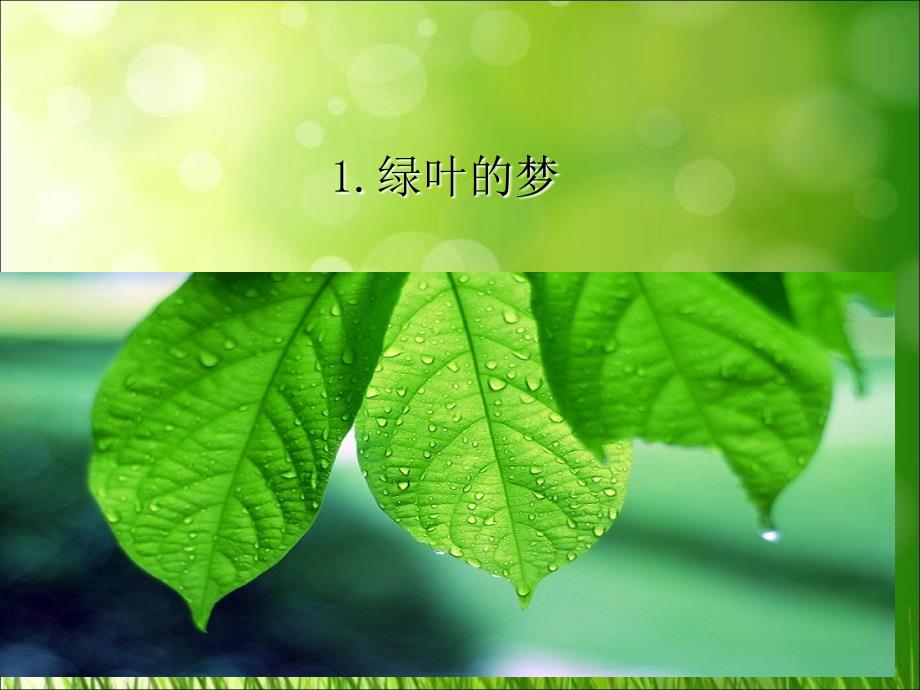 四年级上册语文课件一单元1绿叶的梦语文S版共11.ppt_第1页