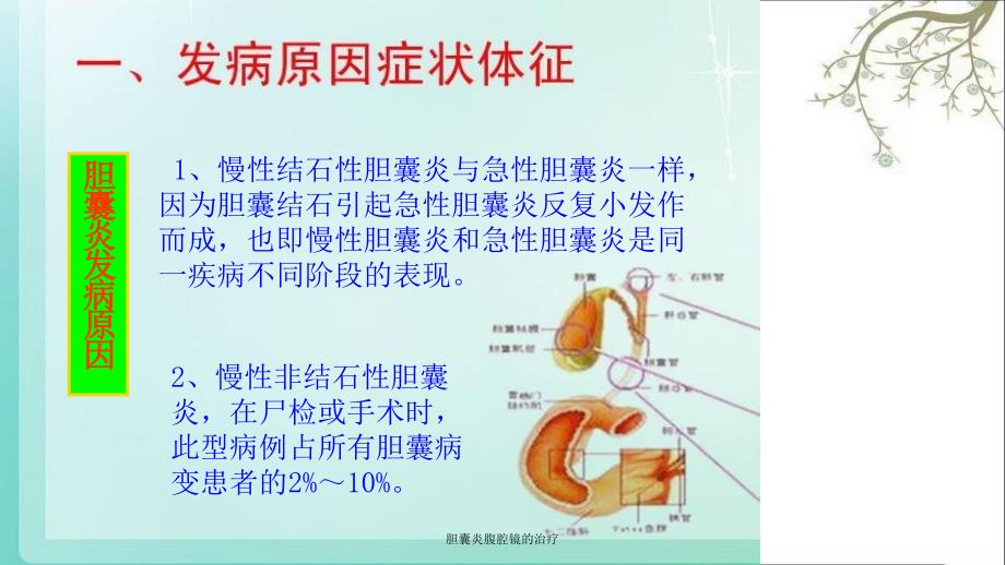 胆囊炎腹腔镜的治疗课件_第3页