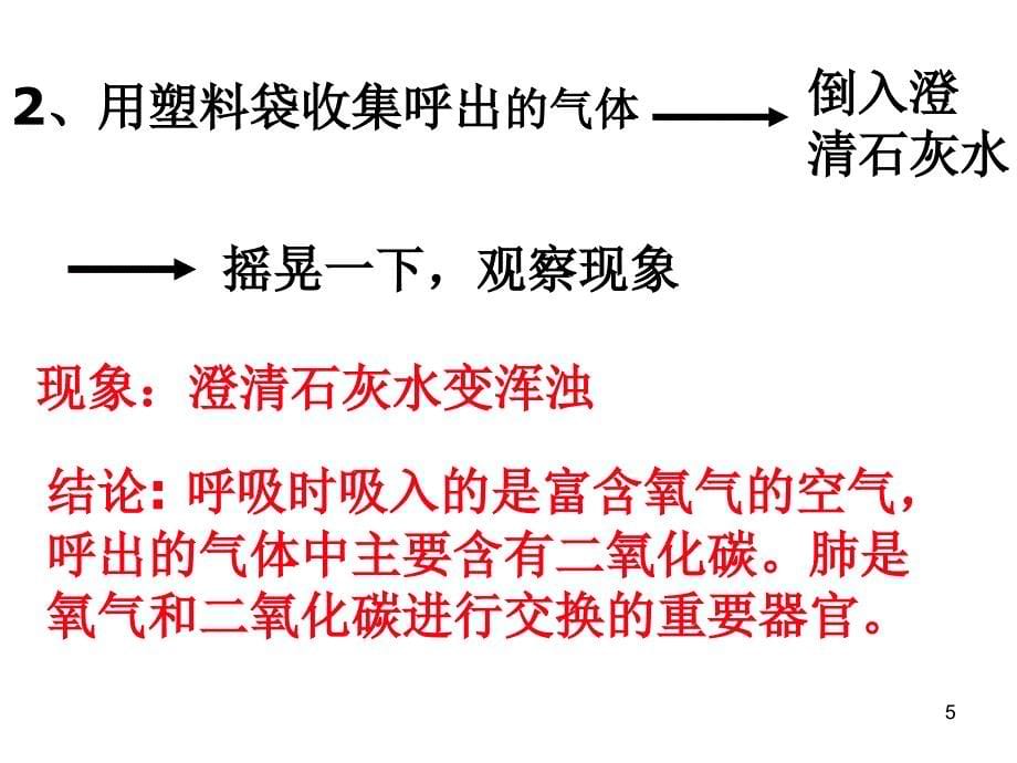 肺和呼吸PPT幻灯片_第5页