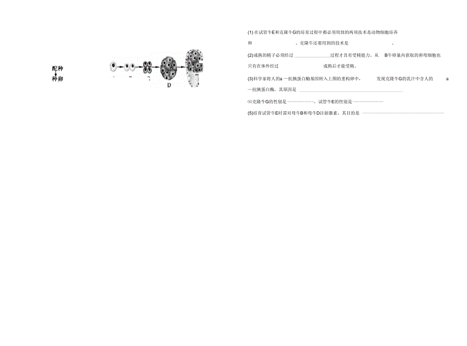 第二节良种化胚胎工程学案_第3页