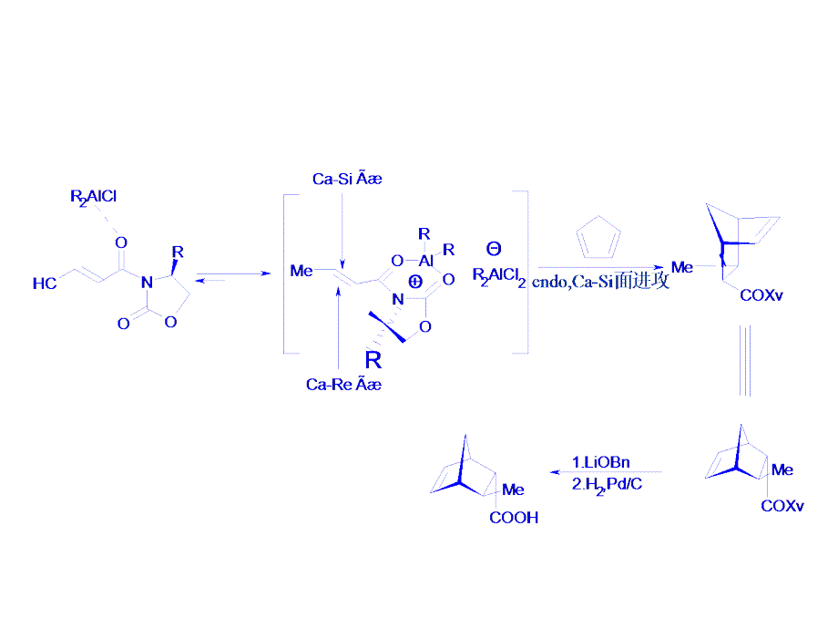 不对称合成及拆分_第4页