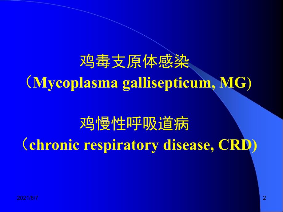 鸡毒支原体病_第2页