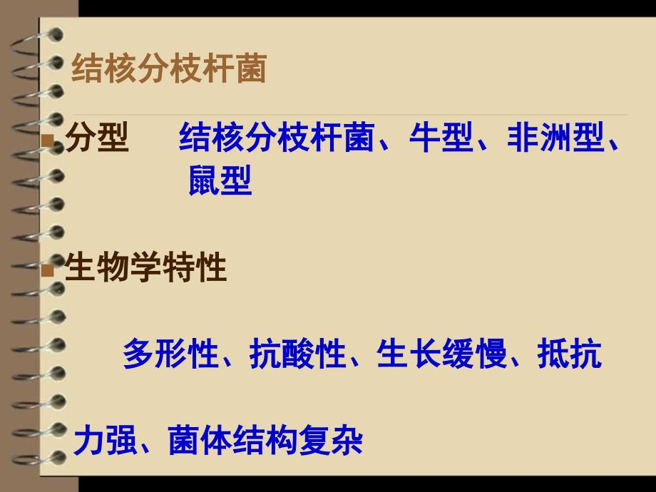 内科学肺结核ppt.ppt_第4页