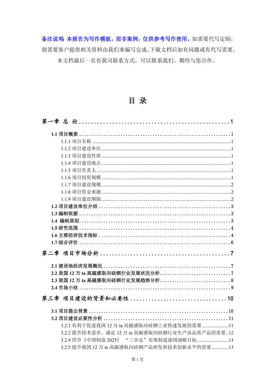 12万ta高磁感取向硅钢项目资金申请报告写作模板_第2页