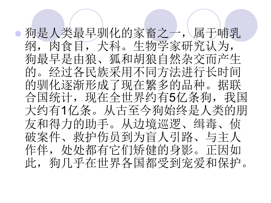 狗狗的那些事_第2页