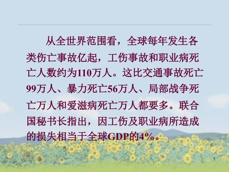 HSE管理体系实施及事故案例分析_第5页