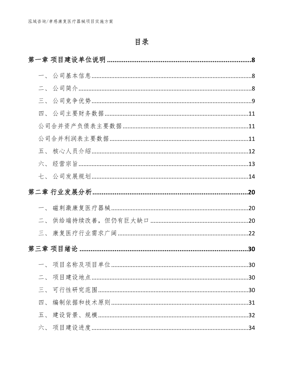 孝感康复医疗器械项目实施方案【模板范文】_第2页