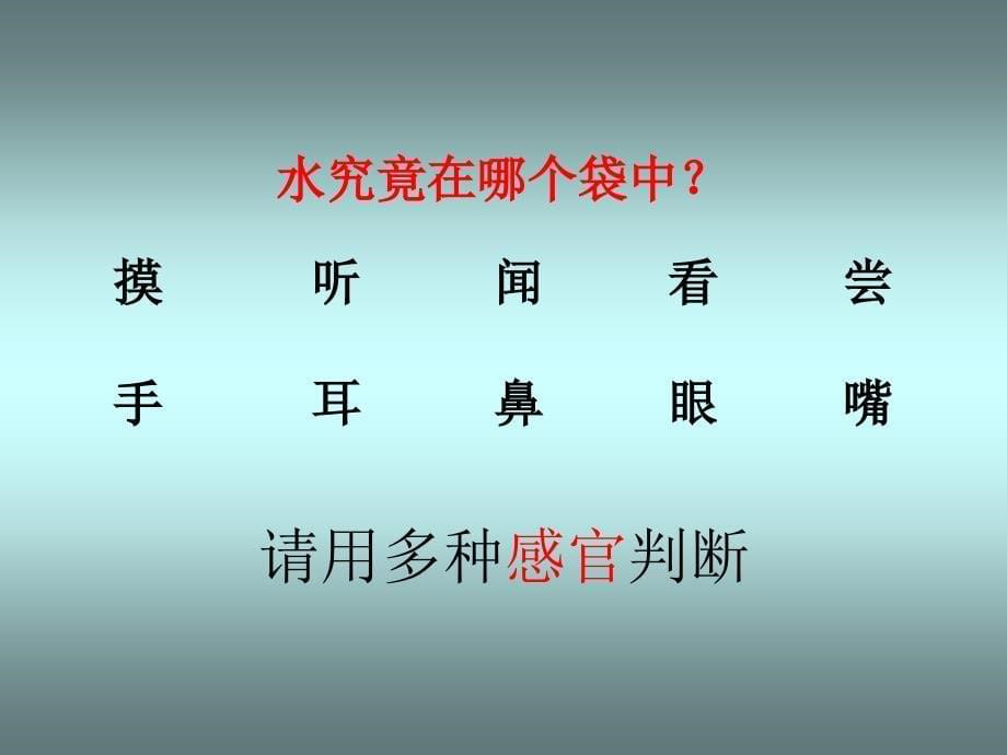 教科版三年级上册科学41水PPT_第5页