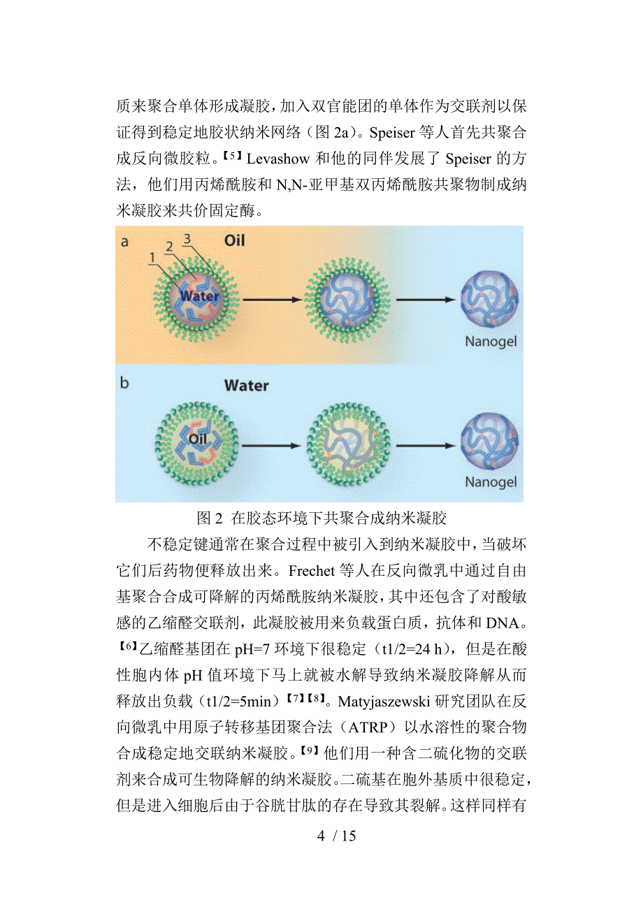 纳米凝胶的研究进展.doc_第4页