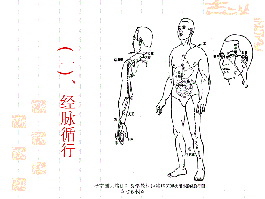 指南国医培训针灸学教材经络腧穴各论6小肠课件_第2页