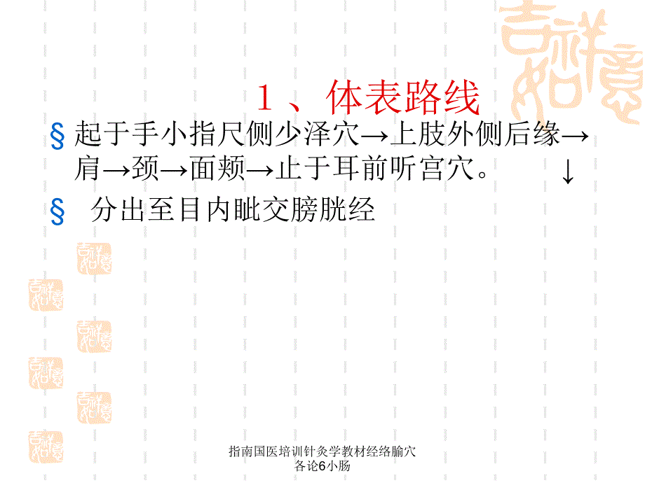 指南国医培训针灸学教材经络腧穴各论6小肠课件_第3页