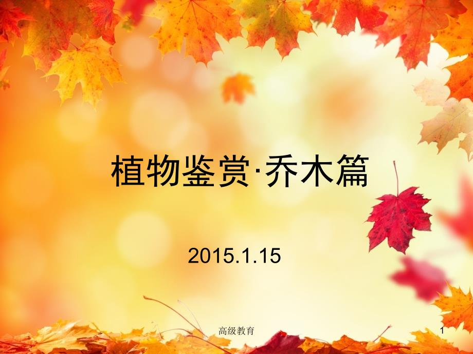 植物鉴赏乔木篇严选荟萃_第1页