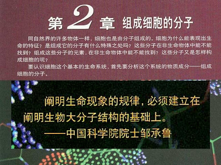 2019高中生物 专题2.2 生命活动的主要承担者&amp;mdash;&amp;mdash;蛋白质同步课件 新人教版必修1_第1页