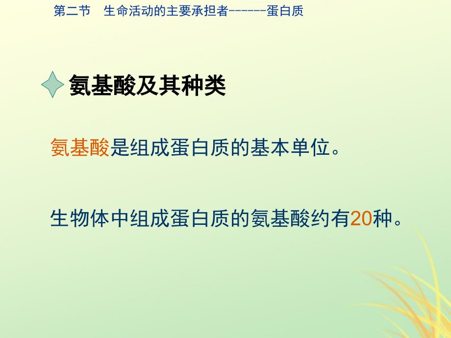 2019高中生物 专题2.2 生命活动的主要承担者&amp;mdash;&amp;mdash;蛋白质同步课件 新人教版必修1_第4页