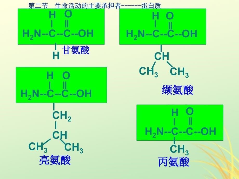 2019高中生物 专题2.2 生命活动的主要承担者&amp;mdash;&amp;mdash;蛋白质同步课件 新人教版必修1_第5页