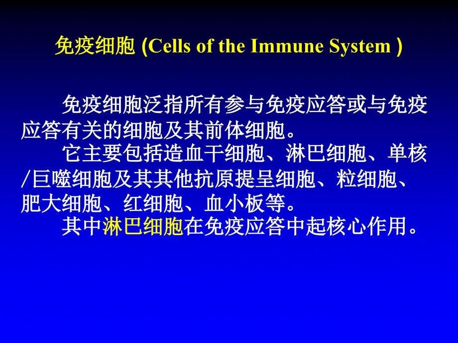 微生物学与免疫学：第2章 免疫器官和免疫细胞_第5页