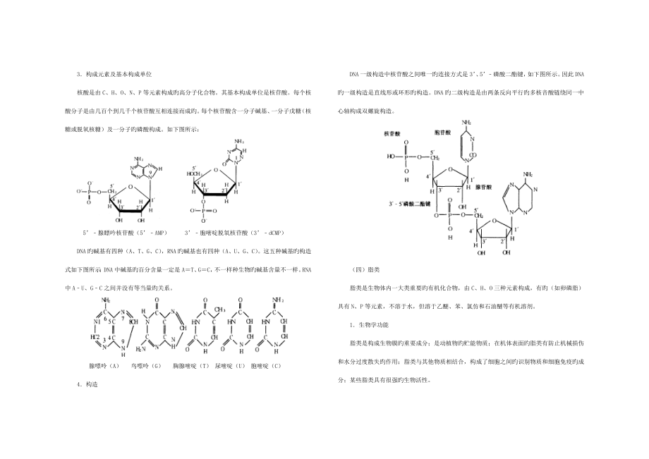 2023年新版生物竞赛知识点_第3页