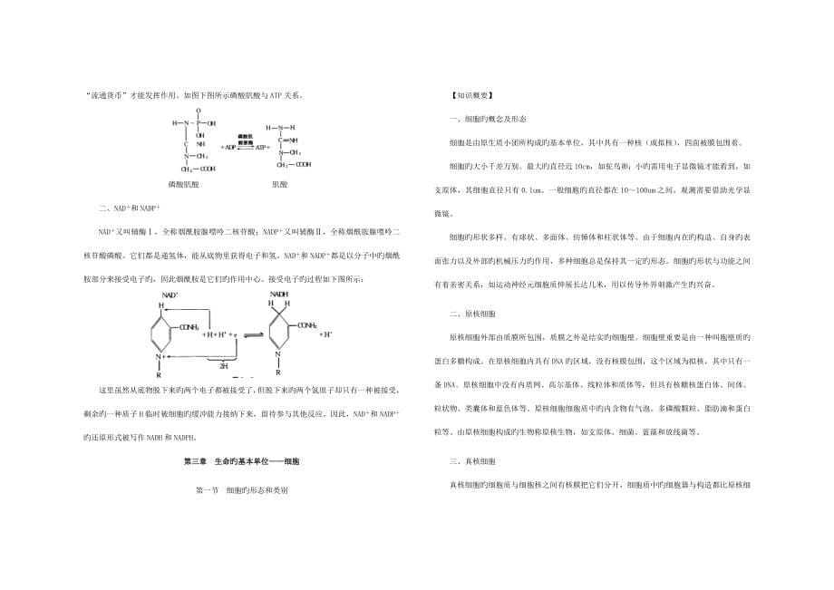 2023年新版生物竞赛知识点_第5页