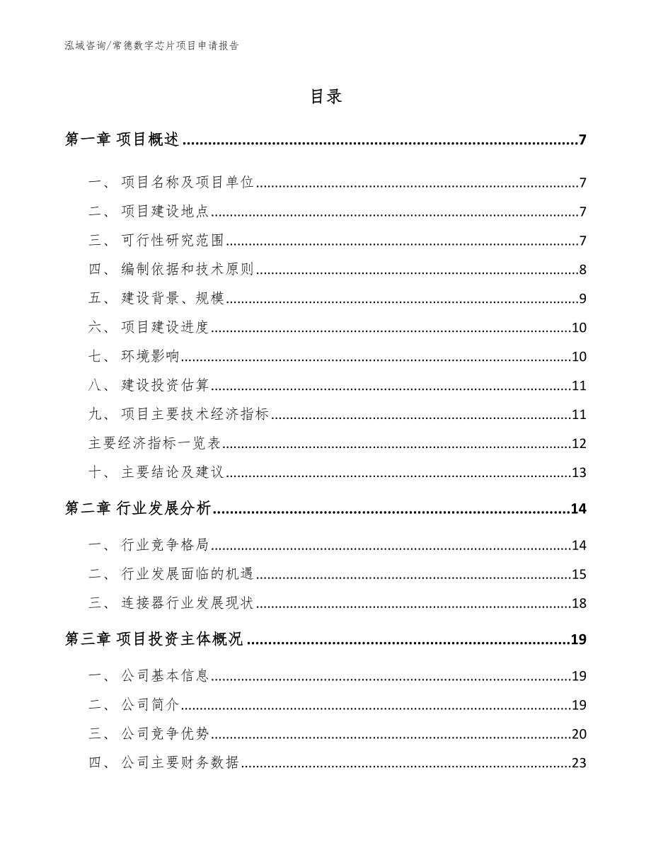 常德数字芯片项目申请报告_第1页