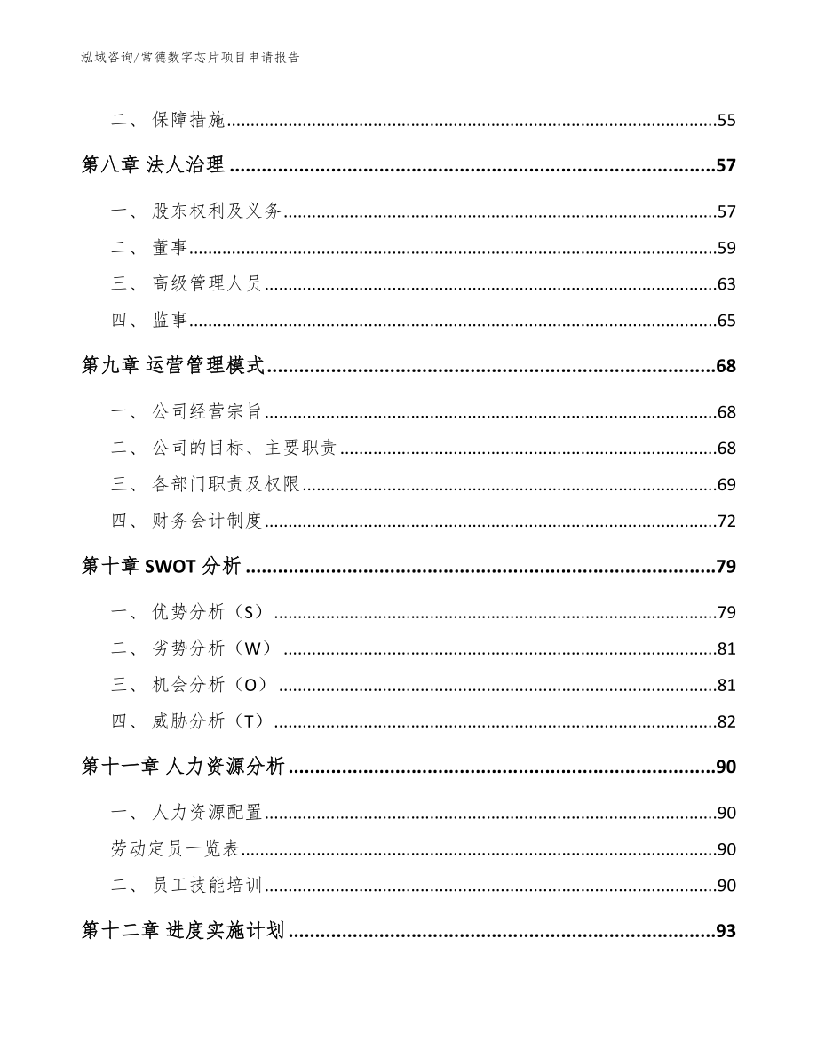 常德数字芯片项目申请报告_第3页