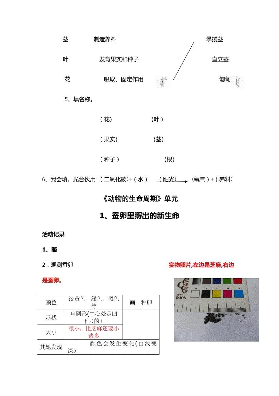 最新2018年教科版科学三年级下册作业本参考答案_第5页