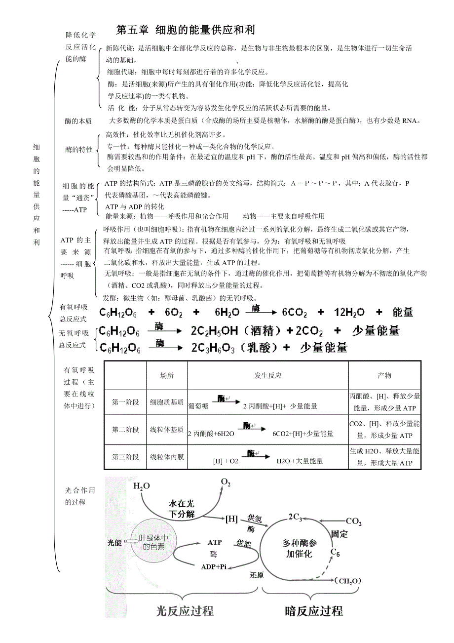 高中生物必修一知识框架_第4页