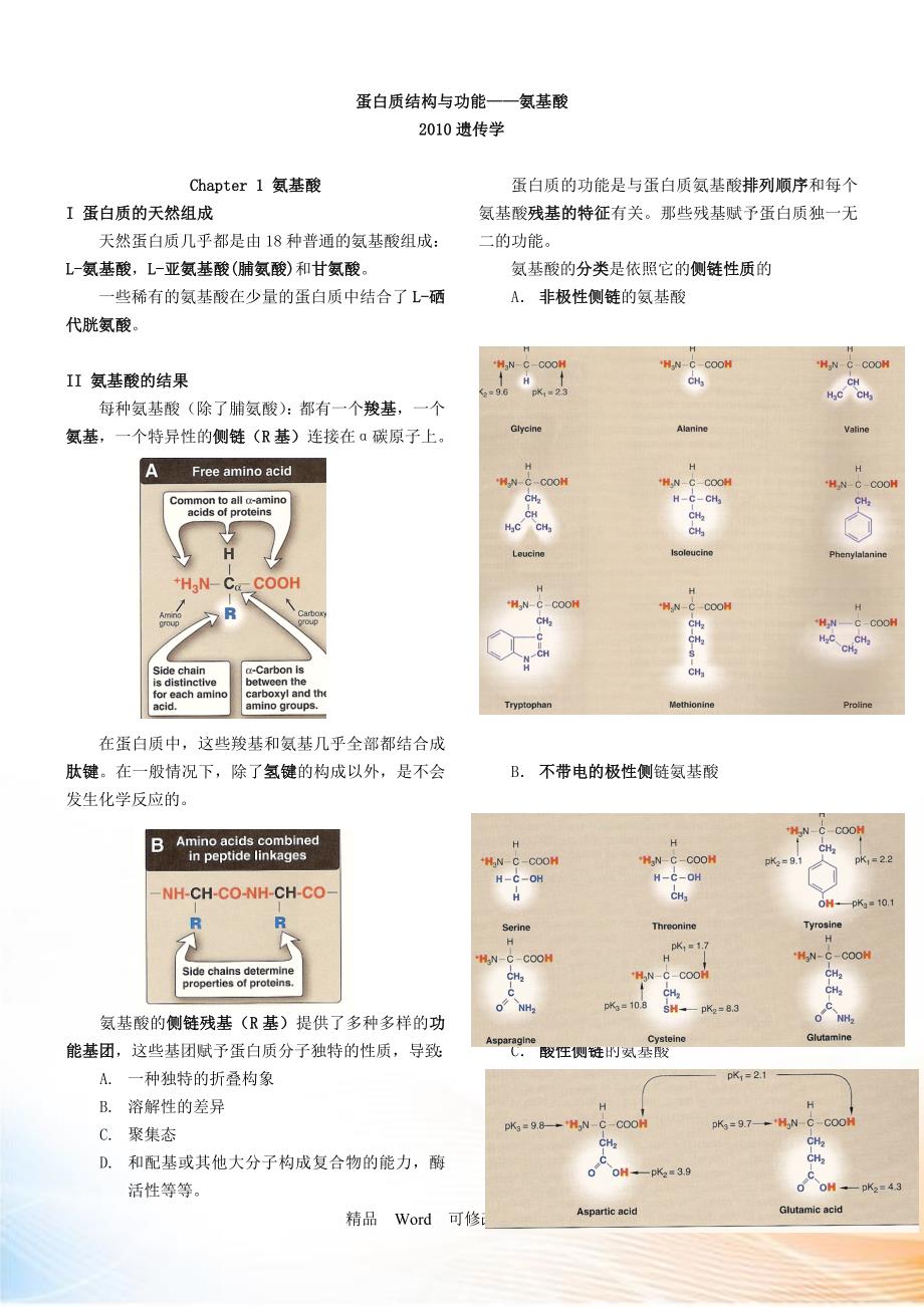 1.蛋白质结构与功能-----氨基酸_第1页