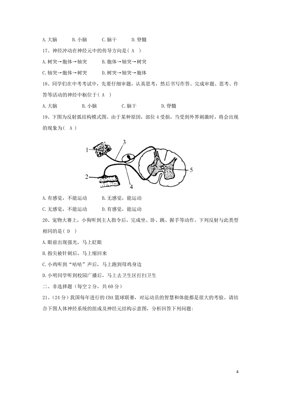 广西玉林市玉州五中季七年级生物下学期第二次月考试题 北师大版.doc_第4页