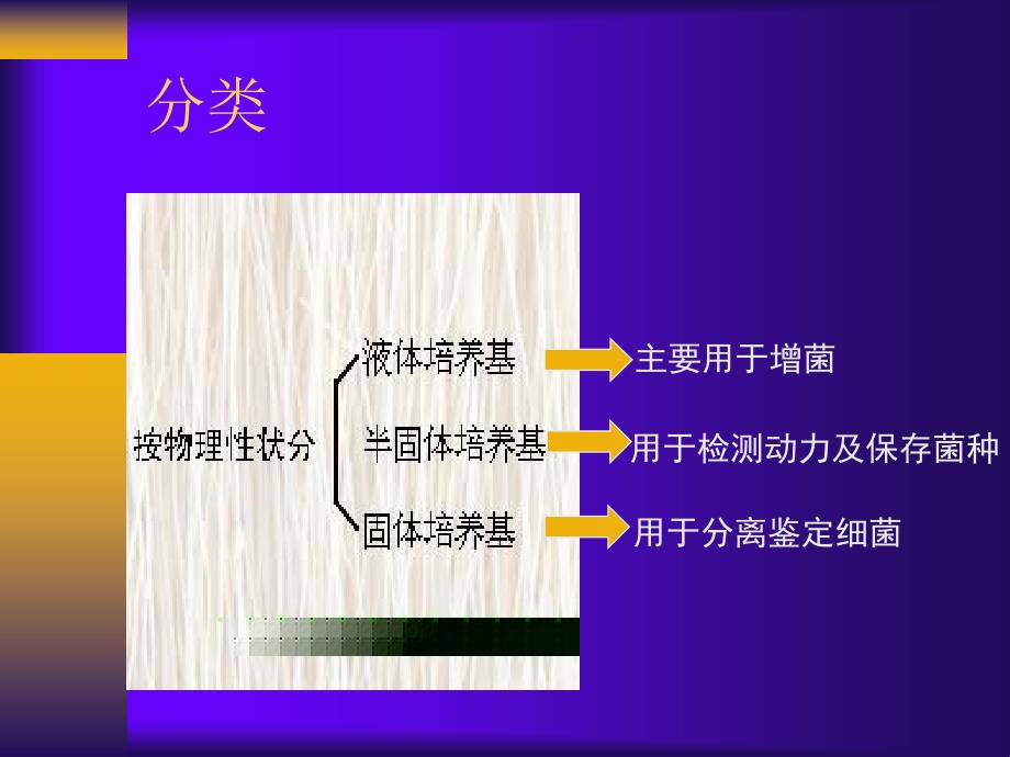 培养基的制备和细菌的接种及生化反应 - 新乡医学院_第3页