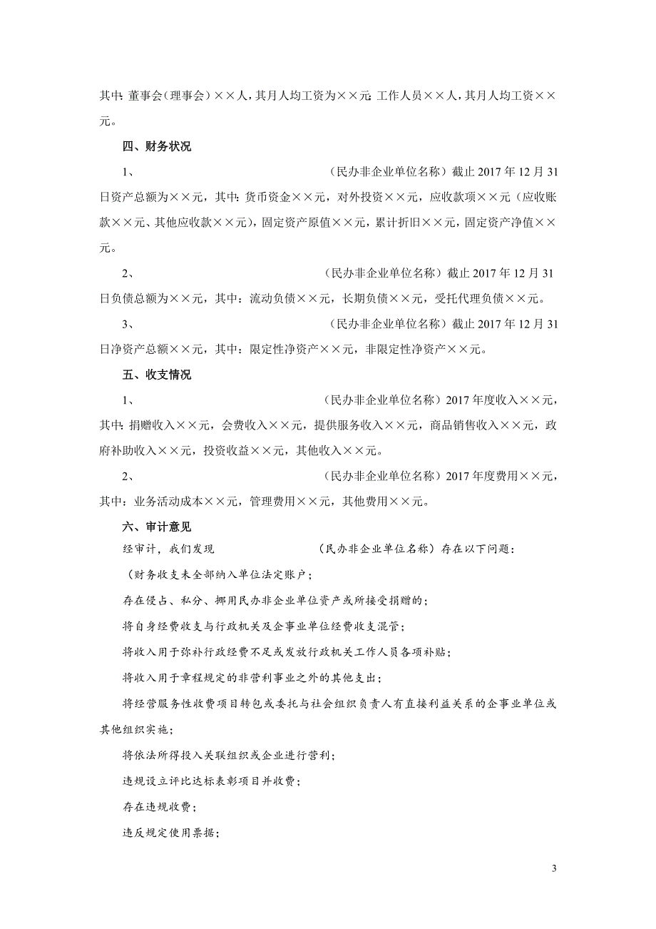 民办非企业单位审计报告模版1_第3页