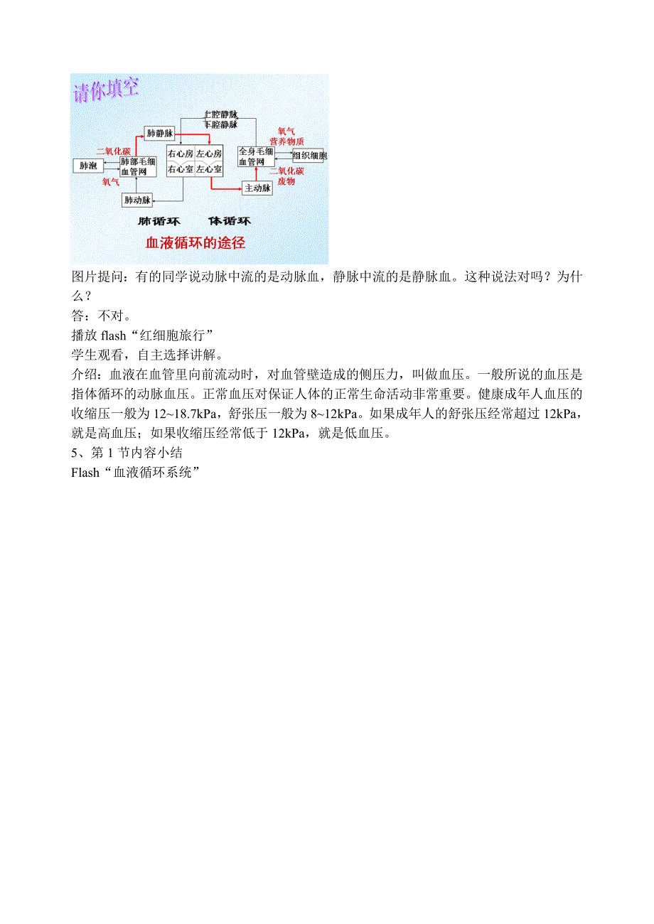 5141四循环系统_第2页