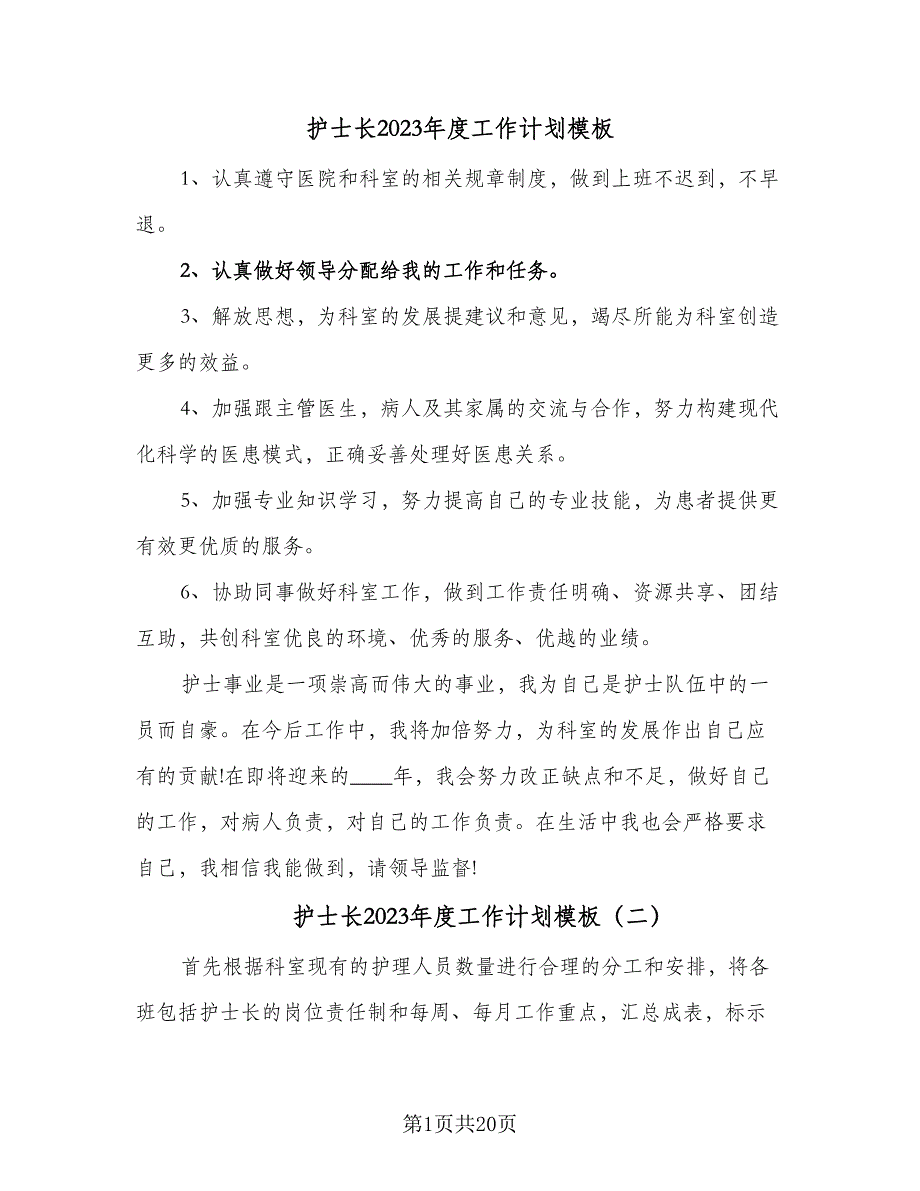 护士长2023年度工作计划模板（九篇）_第1页