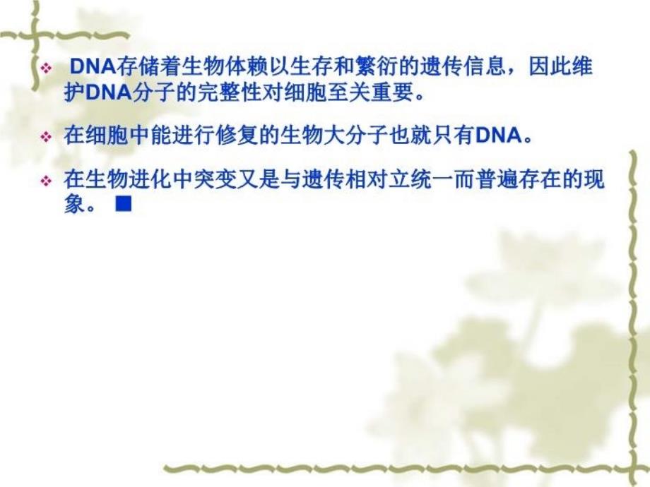 最新十三章节DNA损伤修复PPT课件_第4页