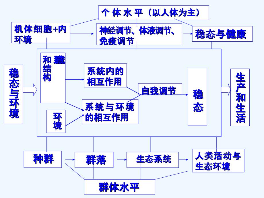 人体的内环境与稳态课件_第3页