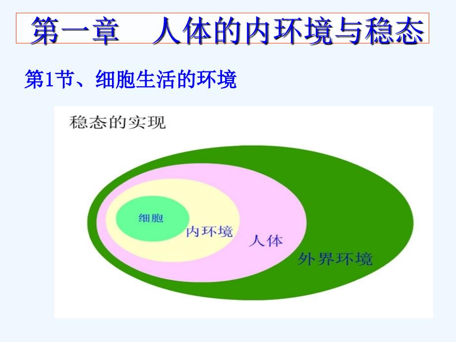 人体的内环境与稳态课件_第4页