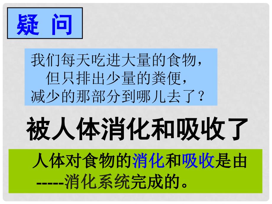 九年级科学上册 食物的消化与吸收1课件 浙教版_第3页