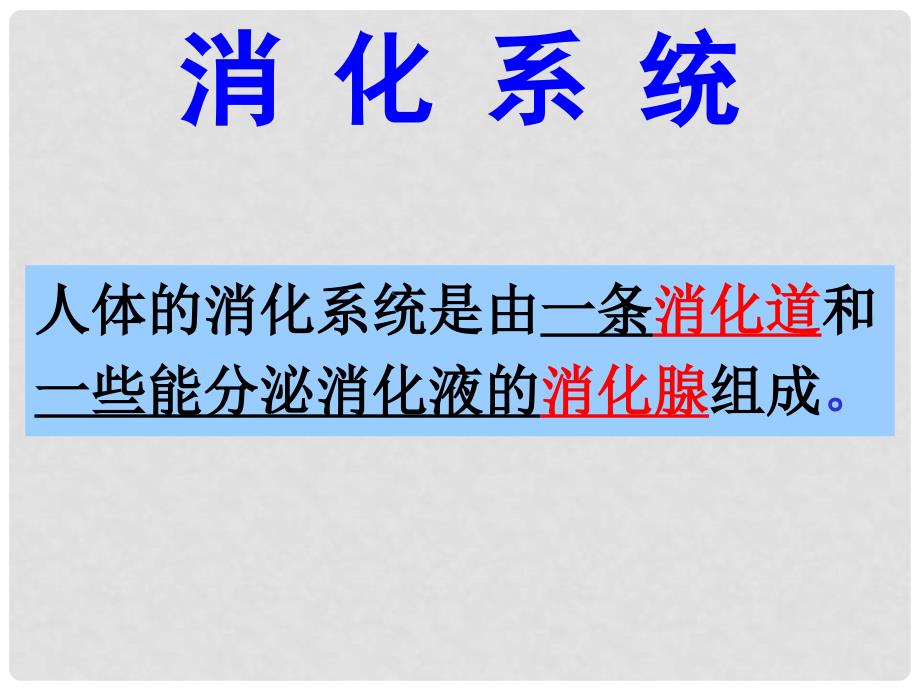 九年级科学上册 食物的消化与吸收1课件 浙教版_第4页