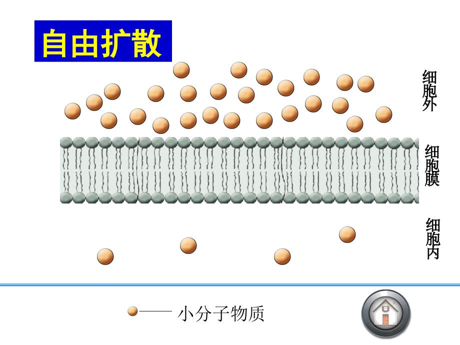 生物必修一物质跨膜运输的方式优质课PPT课件_第3页