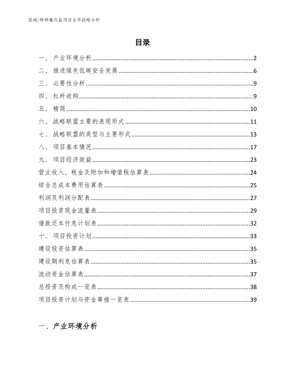 特种氟化盐项目合作战略分析（范文）_第2页