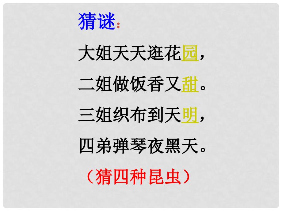 浙江省海宁市紫微初级中学七年级语文上册 23《绿色蝈蝈》课件 新人教版_第1页