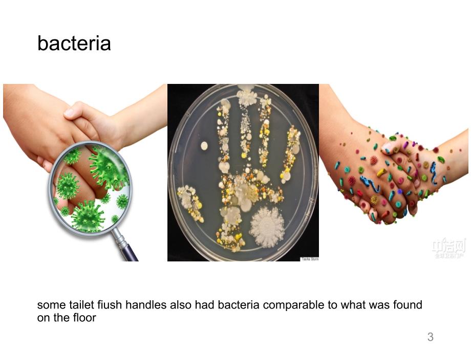 手的清洁与消毒ppt课件_第3页
