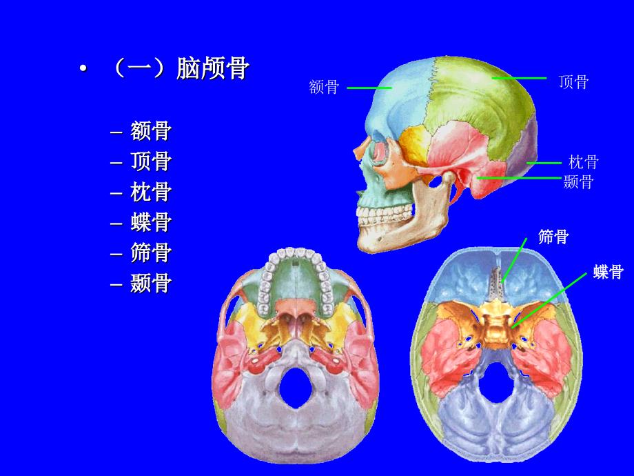 CBCT临床应用概述课件_第4页