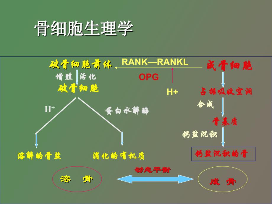 肺癌骨转移治疗_第3页