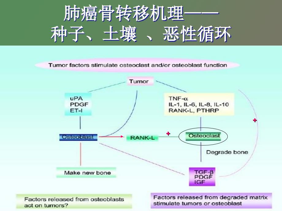 肺癌骨转移治疗_第4页