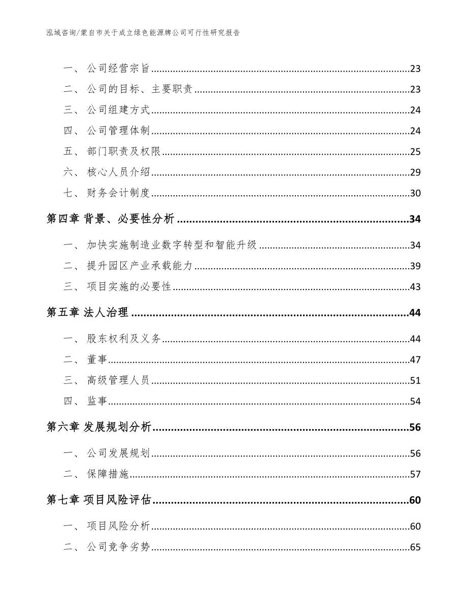 蒙自市关于成立绿色能源牌公司可行性研究报告（模板参考）_第4页