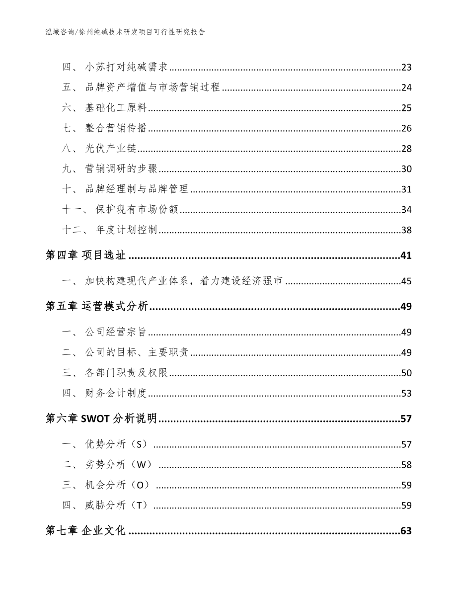 徐州纯碱技术研发项目可行性研究报告_第2页