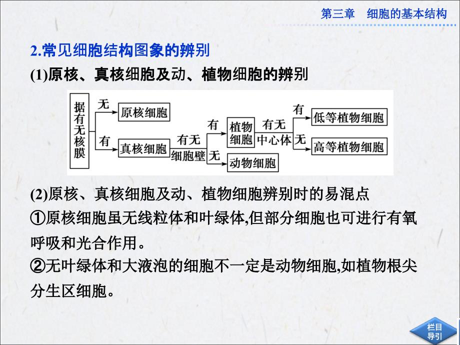 细胞的基本结构章末优化总结.ppt_第4页