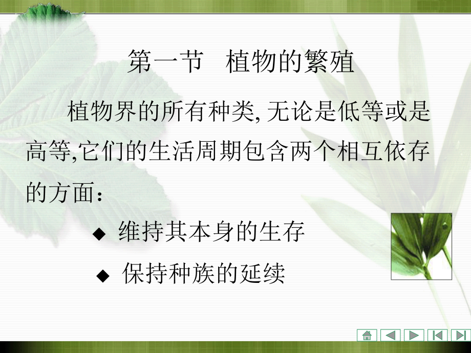 植物学课件：第四章 被子植物生殖器官的形态、结构和功能_第2页